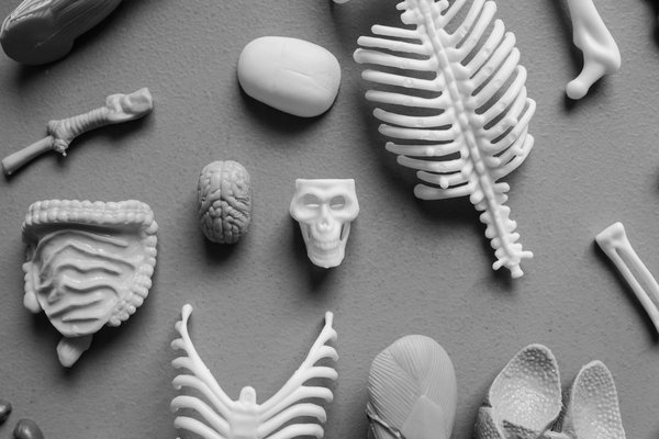 Scoperte e Strategie per Anziani in Forma!